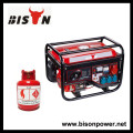 BISON (CHINA) 170F Motor Max Leistung 3000W LPG Methan Generator